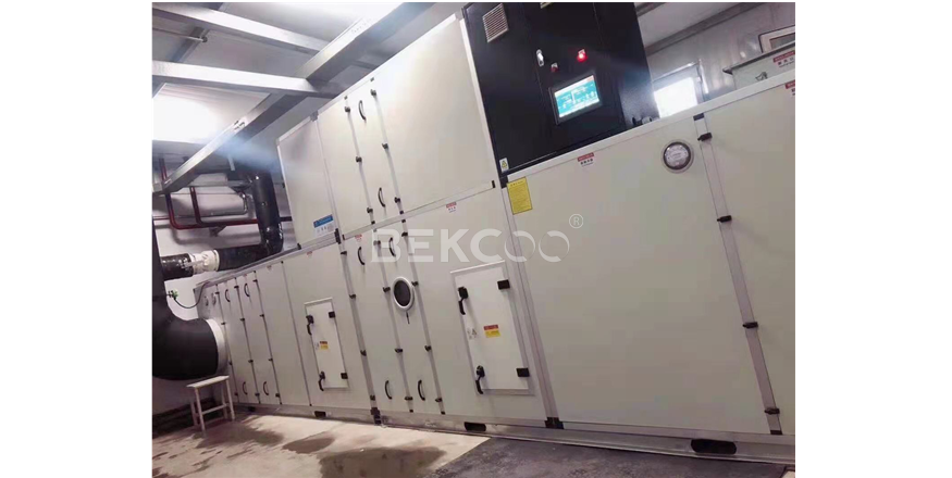 鋰電生產(chǎn)車間轉(zhuǎn)輪除濕機(jī)案例